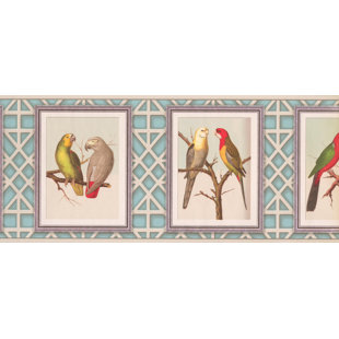 wallpaper borders wildlife wallpaper