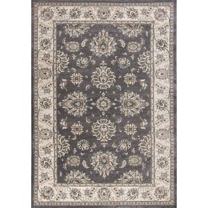 Arnot Gray/Ivory Area Rug