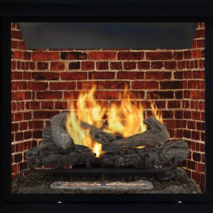 Vent Free Natural Gas/Propane Log Set By Pleasant Hearth