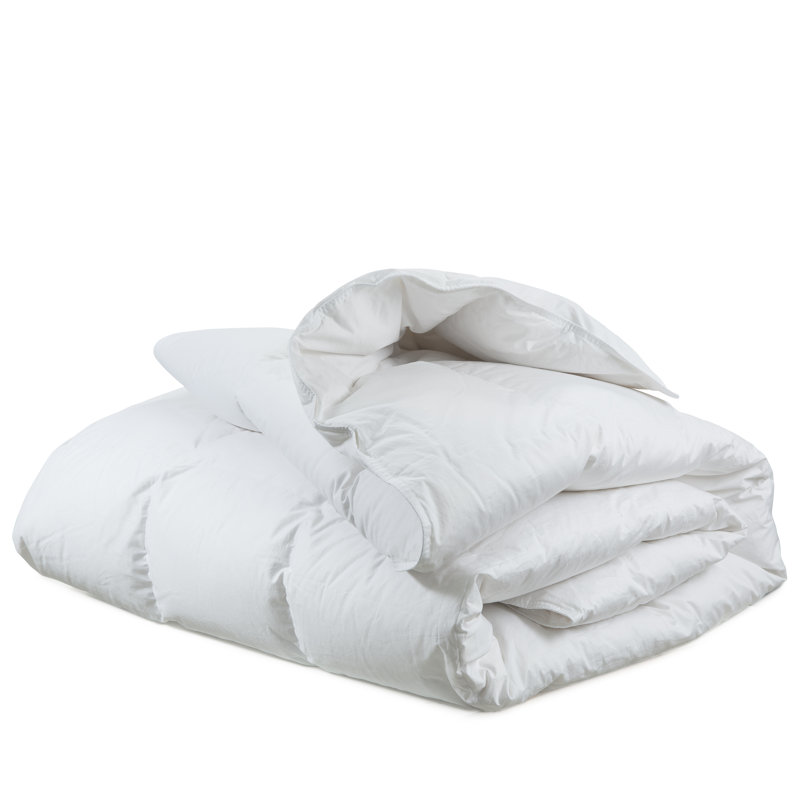 American Bedding Goose Down Comforter Wayfair