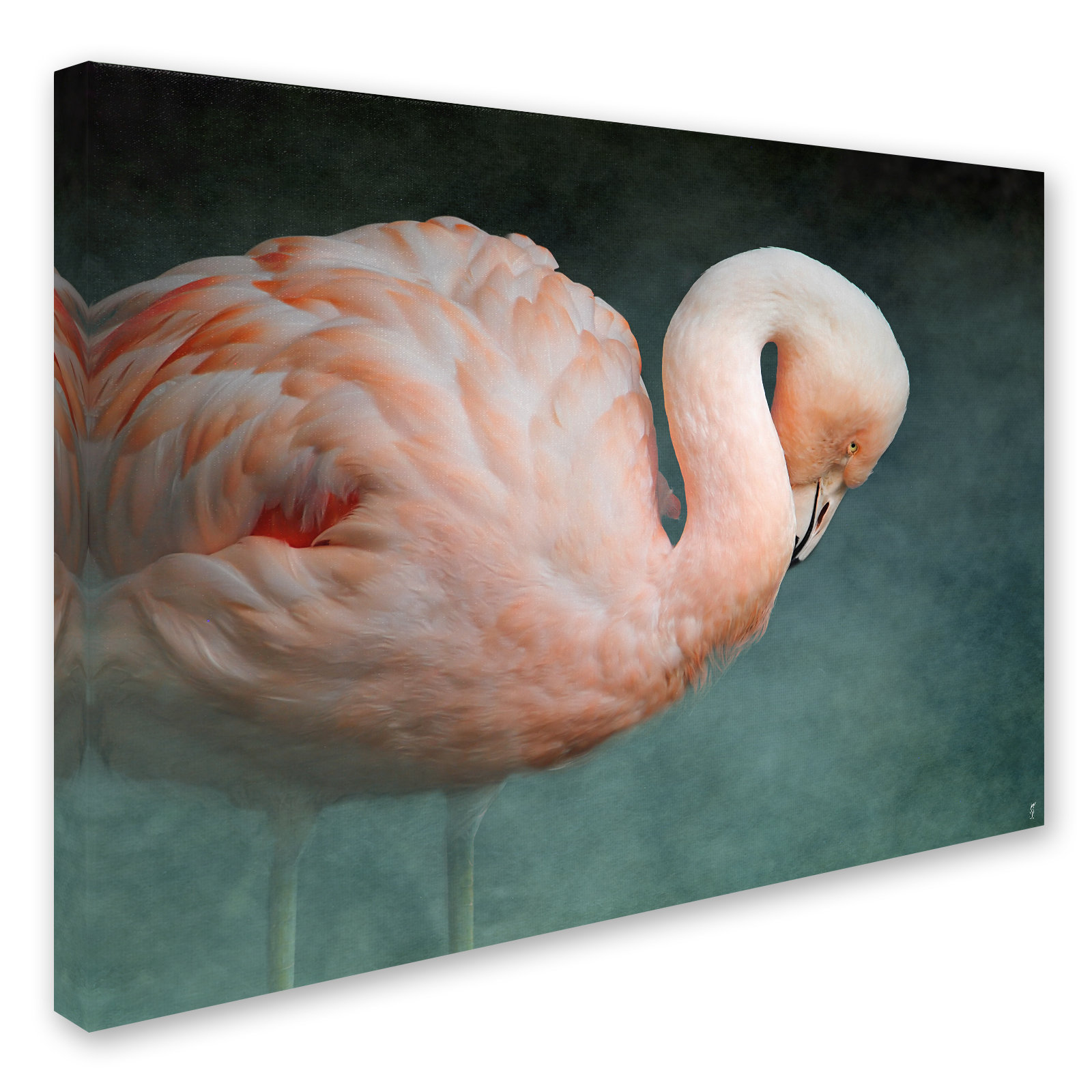 Long Flamingos Huge Canvas Art Print