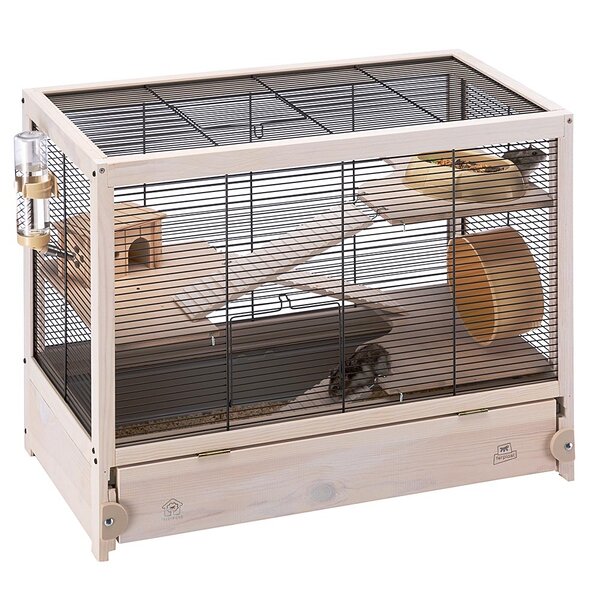 the hamster cage