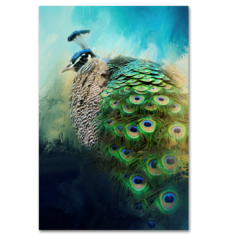 Trademark Art Peacock In Winter Graphic Art Print On Wrapped Canvas Wayfair