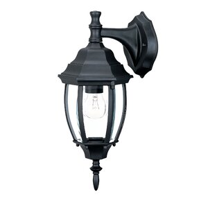 Drumkeeran 1-Light Outdoor Wall Lantern