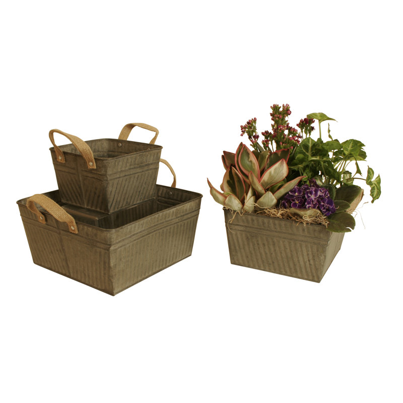 WaldImports 3 Piece Square Galvanized Metal/Wire Bucket Set & Reviews