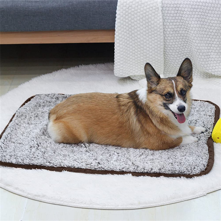 waterproof cat blanket