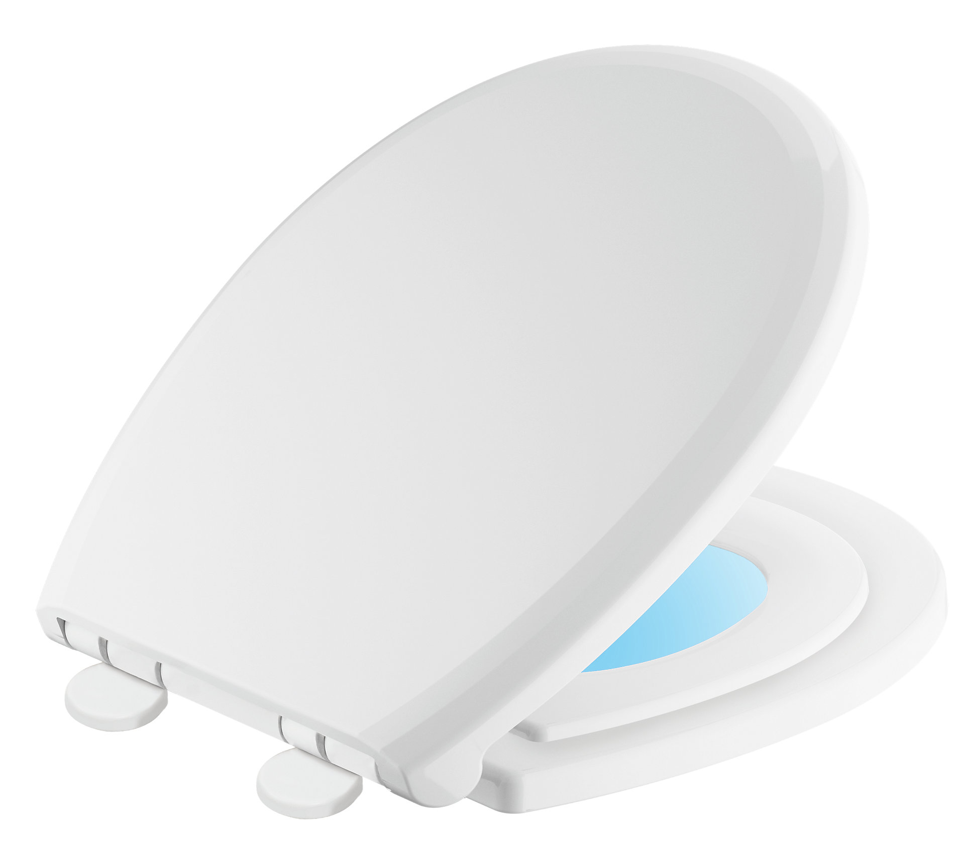 823902NWH Delta Sanborne Round Toilet Seat & Reviews Wayfair