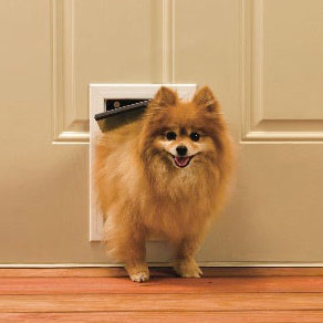 Petsafe 5 18 X 7 58 Small Aluminum Freedom Dog Door Reviews
