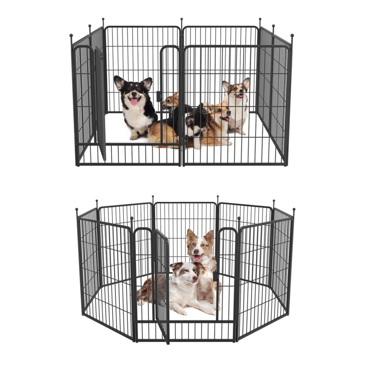 small dog pens for outside
