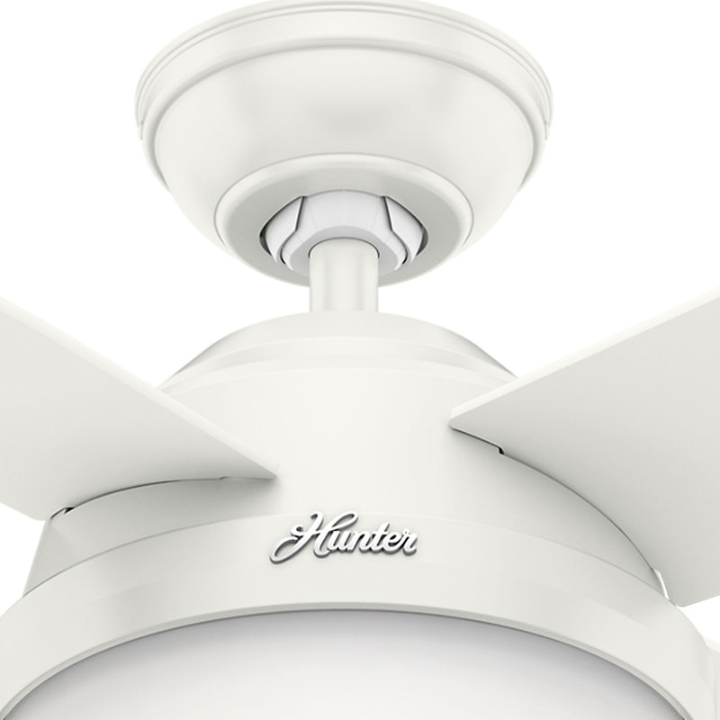 Ceiling Fan Making Humming Noise Lader Blog Ceiling Fan Reviews Wayfair Default Name