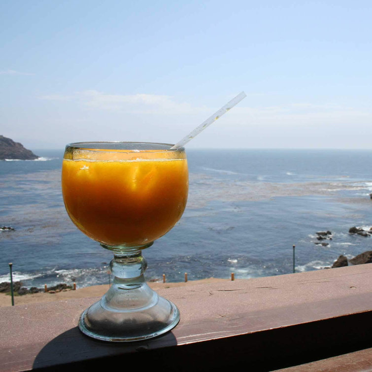 canora grey van reipen schooner style beer and shrimp cocktail 18 oz glass goblet wayfair