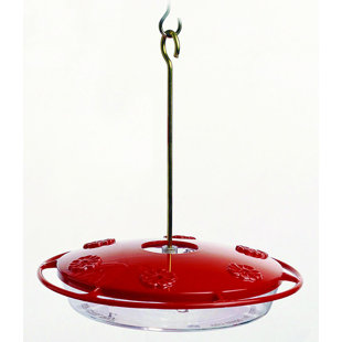 Bee Proof Hummingbird Feeder Wayfair