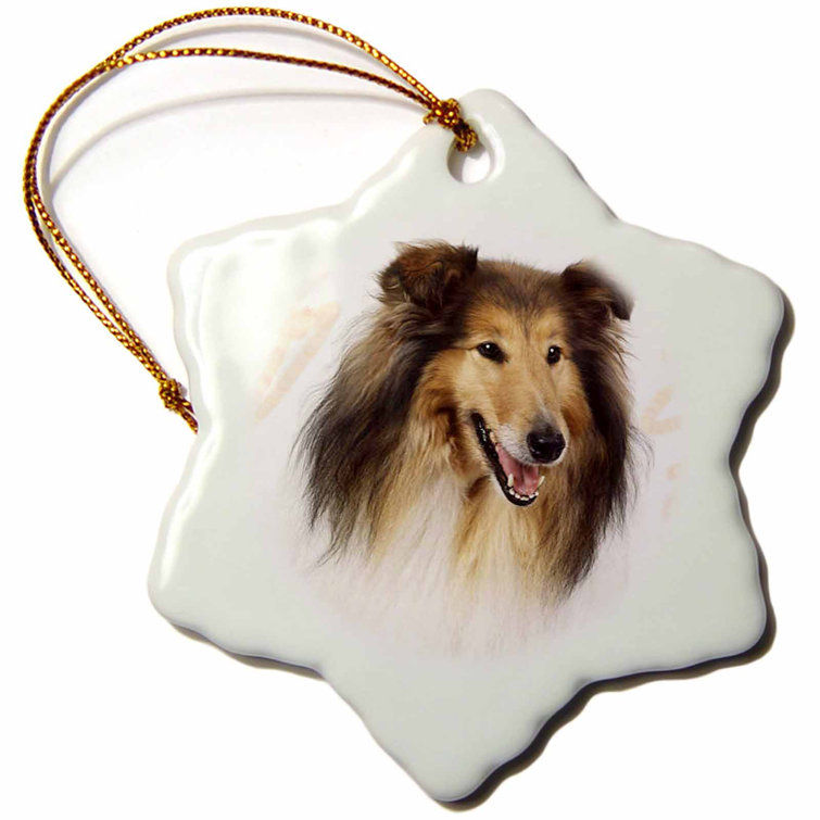 rough collie ornaments