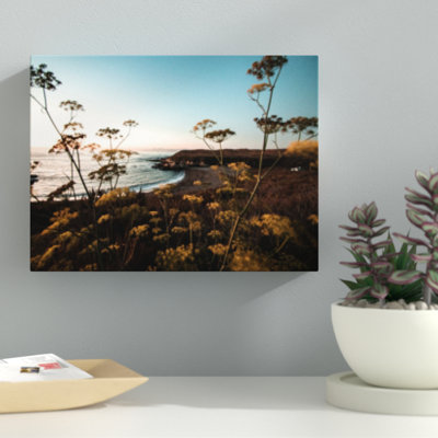 'California Living' Photographic Print on Canvas Ebern Designs Size: 16