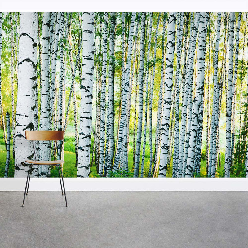 Wallums Wall Decor Spring Birch Tree Forest 8 X 144 3 Piece Wall