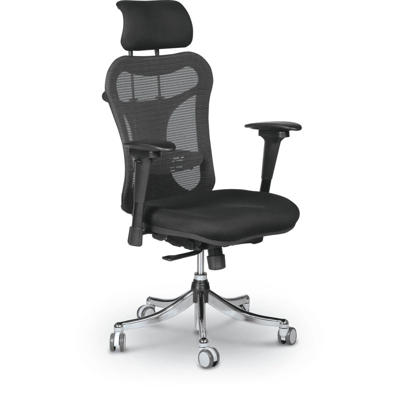 ergo high chair