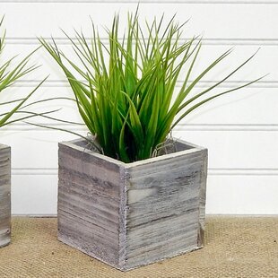 View Faux Grass in Square Wooden Planter Set of