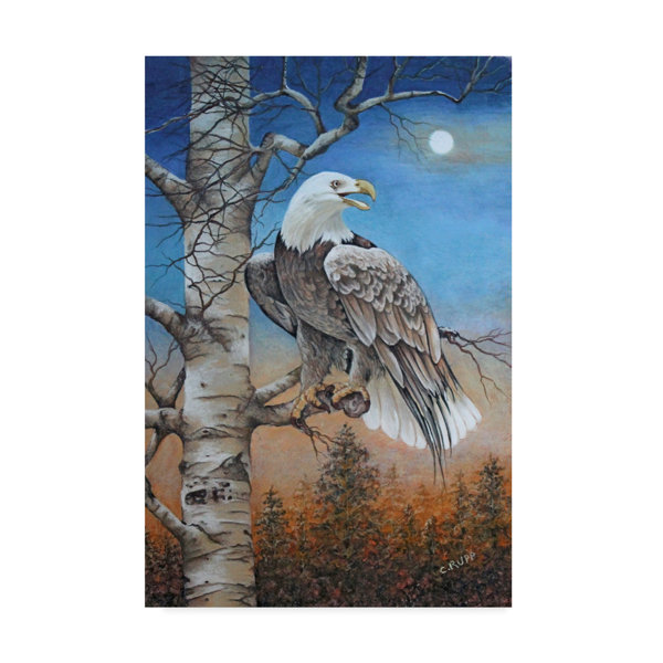 Millwood Pines Moonlight Eagle Acrylic Painting Print On Wrapped