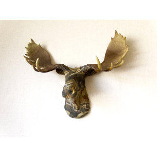 Moose Head Wall Decor Wayfair Faux Taxidermy Authentic Moose Head Wall Décor