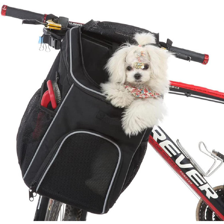 medium dog backpack carrier