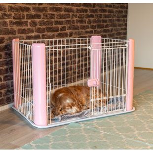 open dog crate