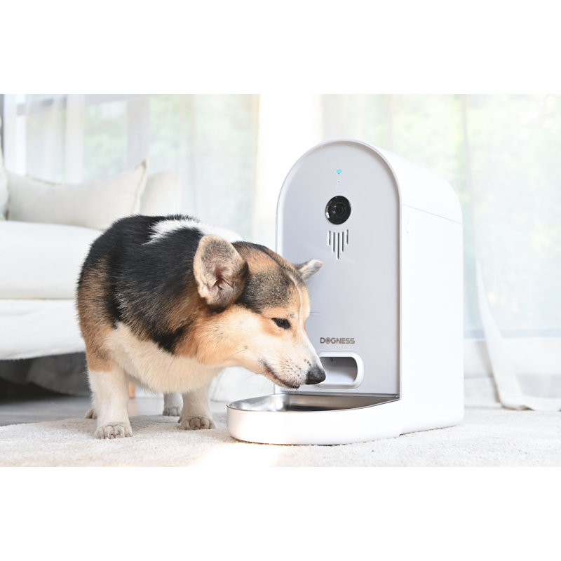 dogness automatic feeder