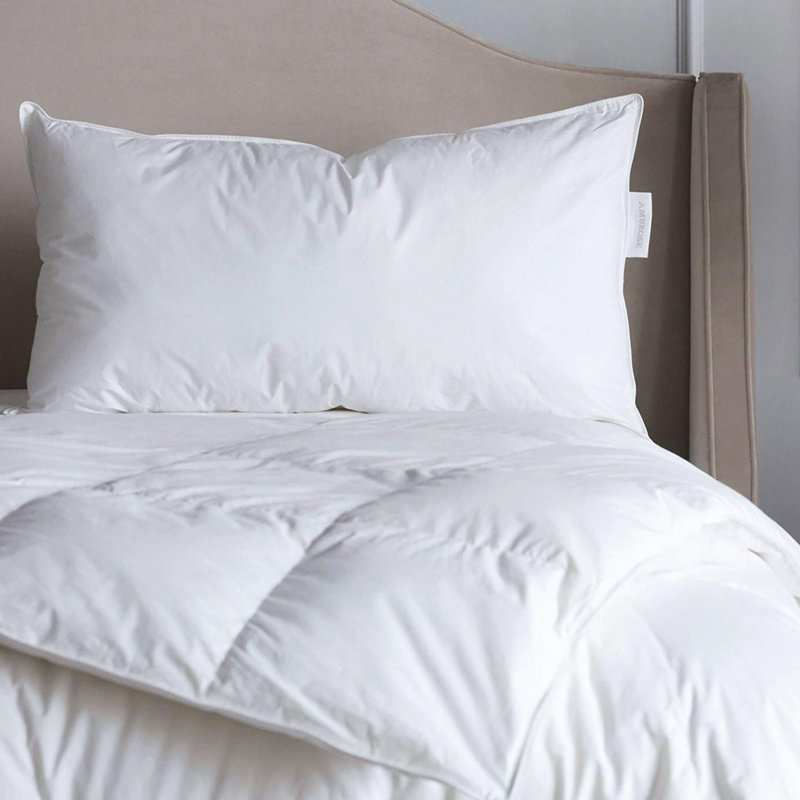 Plankroad Home Decor Hypoallergenic Luxury Light Weight Summer Down Comforter Wayfair
