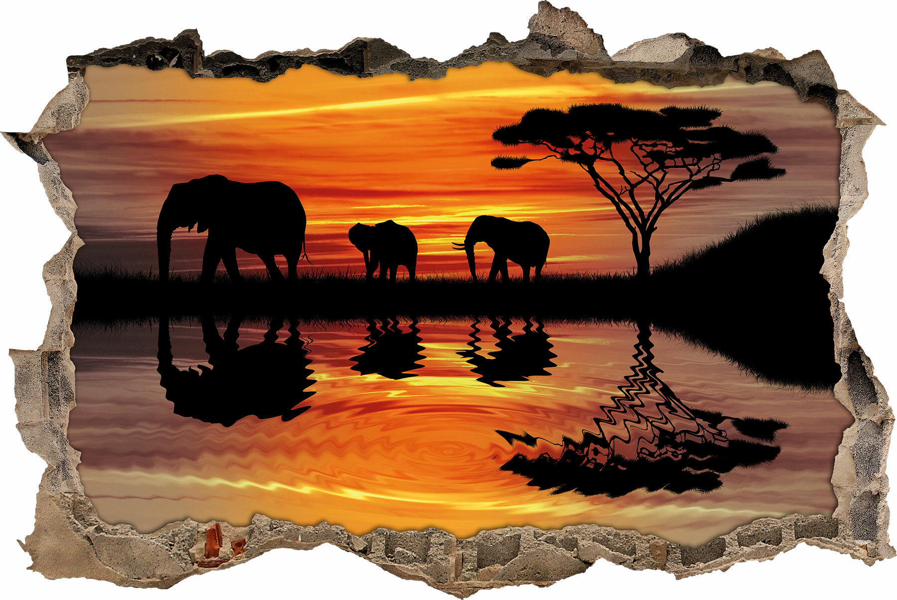 Elefanten in der afrikanischen Wüste bei Sonnenuntergang Leinwandbild Wanddeko K