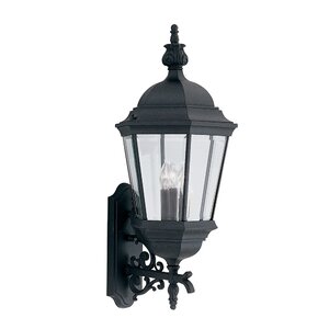 Slusser 3-Light Outdoor Wall lantern