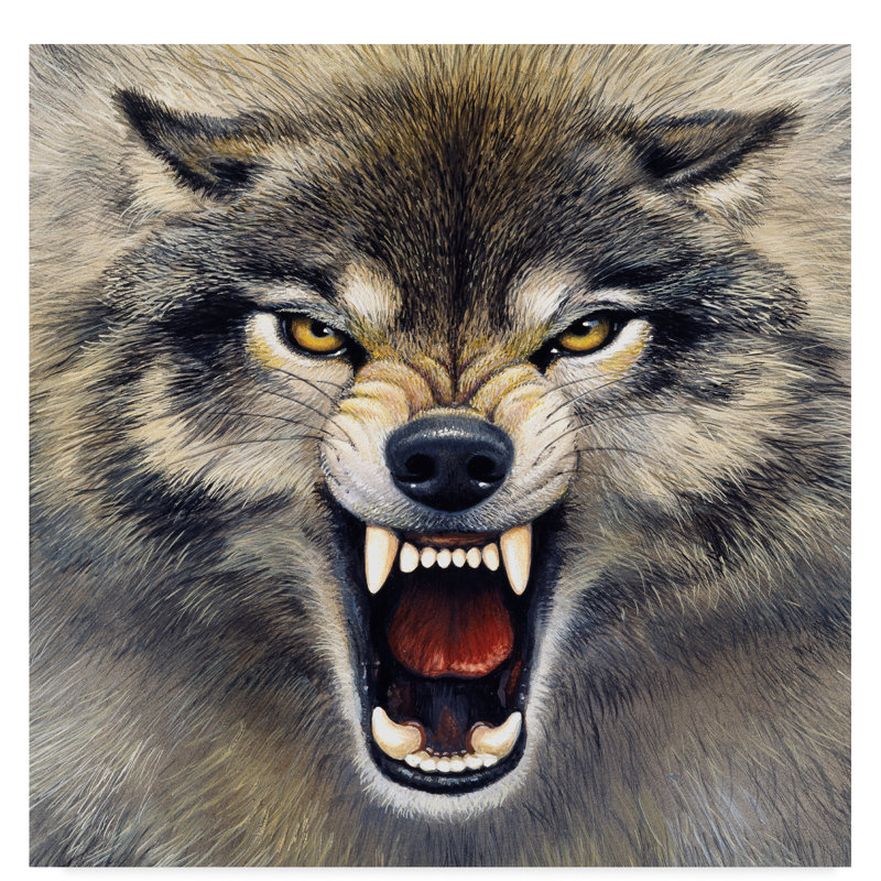 Trademark Art Wolf Roaring Acrylic Painting Print On Wrapped