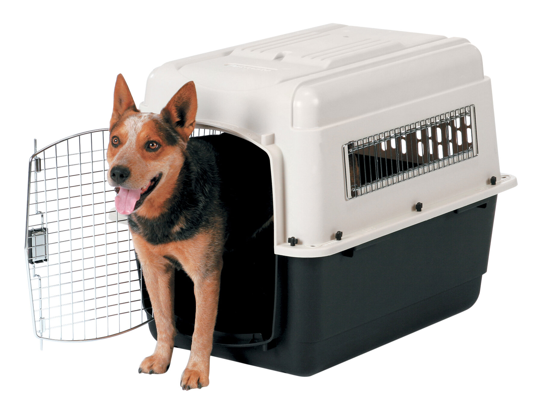 petmate intermediate kennel