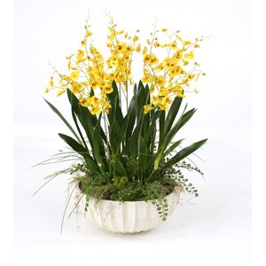 Gold-Yellow Dancing Orchids with Grass in Large Fluted Bowl