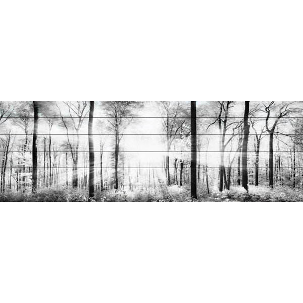 Union Rustic White Light Forest Painting Print On White Wood