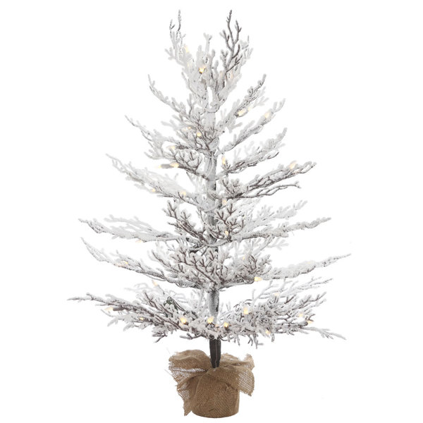 The Holiday Aisle Flocked Twig 3 White Pine Artificial Christmas Tree With 50 Led Clear White Lights With Stand Reviews Wayfair