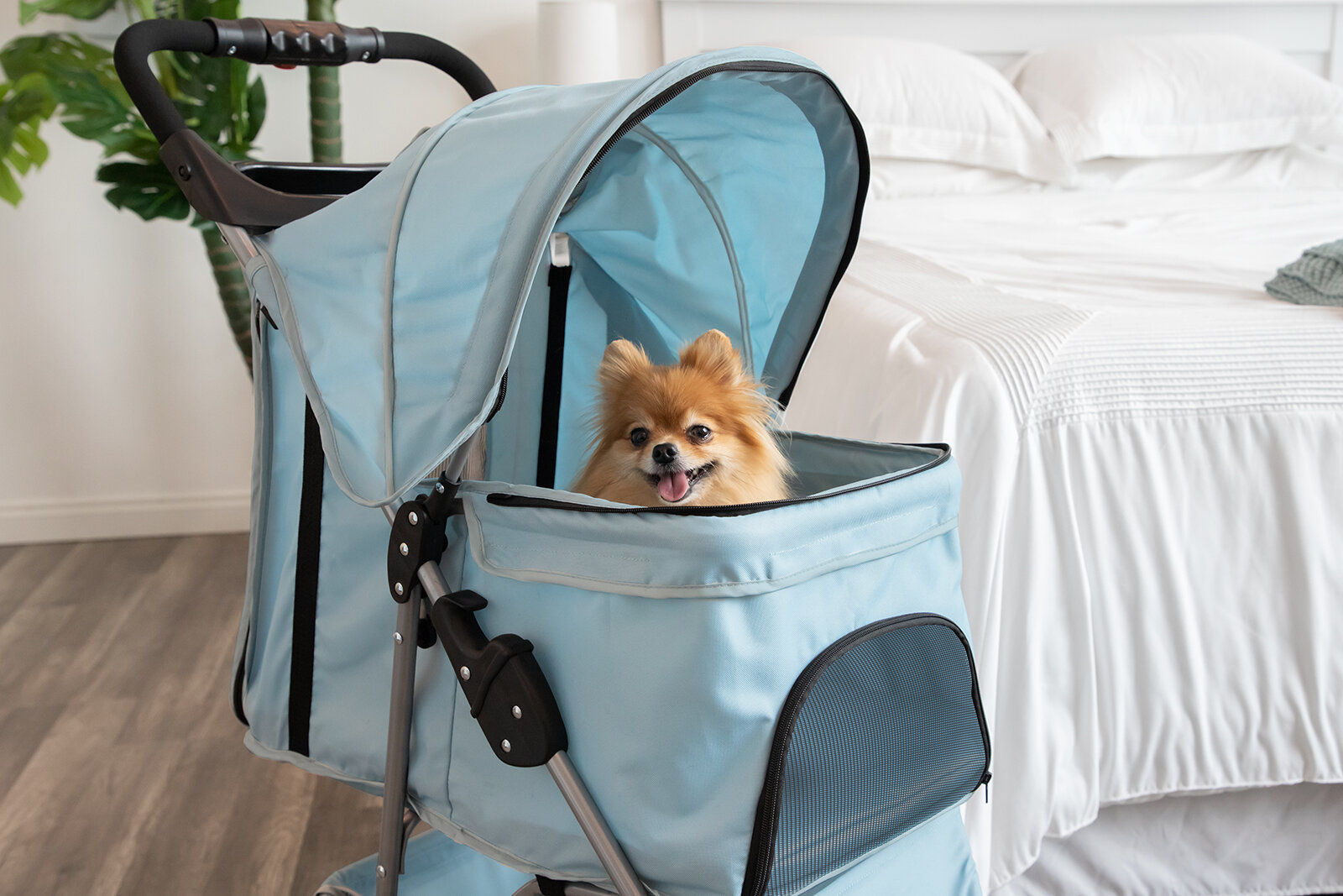 paws & pals folding pet stroller