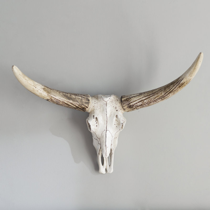 Loon Peak Resin Steer Skull Wall Decor Reviews Wayfair