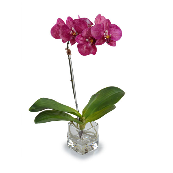 Small Faux Orchid Wayfair