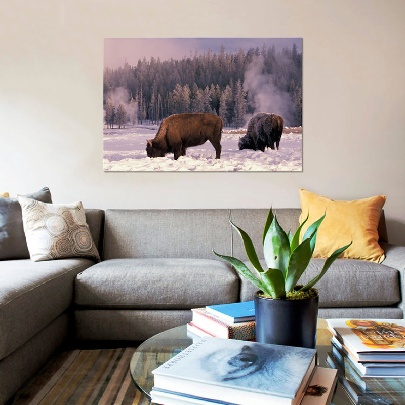 East Urban Home Foraging Bison American Buffalo In Winter