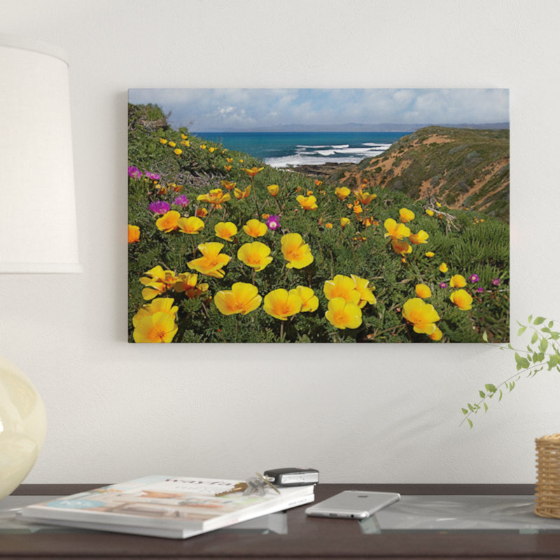 East Urban Home California Poppy Field Montano De Oro State Park California Photographic Print On Canvas Wayfair