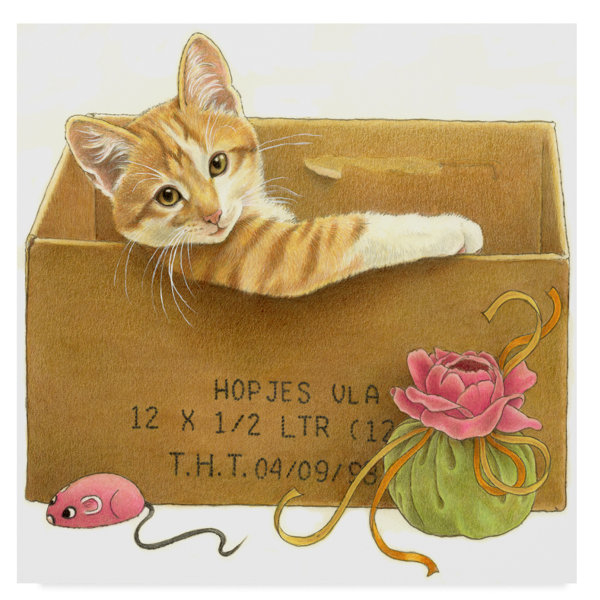 Trademark Art Orange Cat In Box Acrylic Painting Print On