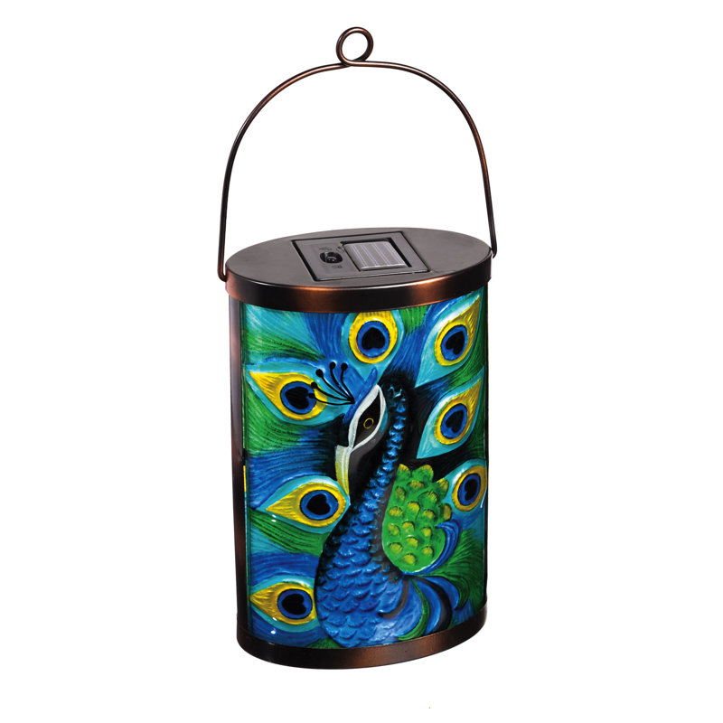 Evergreen Enterprises Inc Peacock Decorative Lantern Wayfair