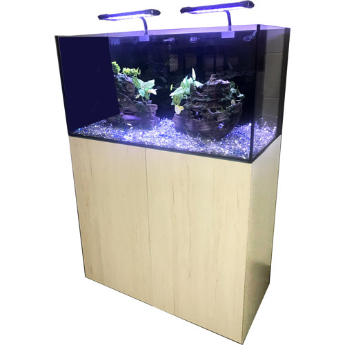freshwater aquarium starter kit