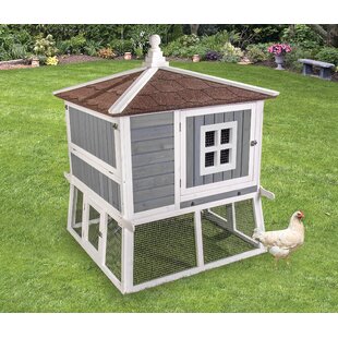 Small Chicken Coops Youll Love In 2019 Wayfair