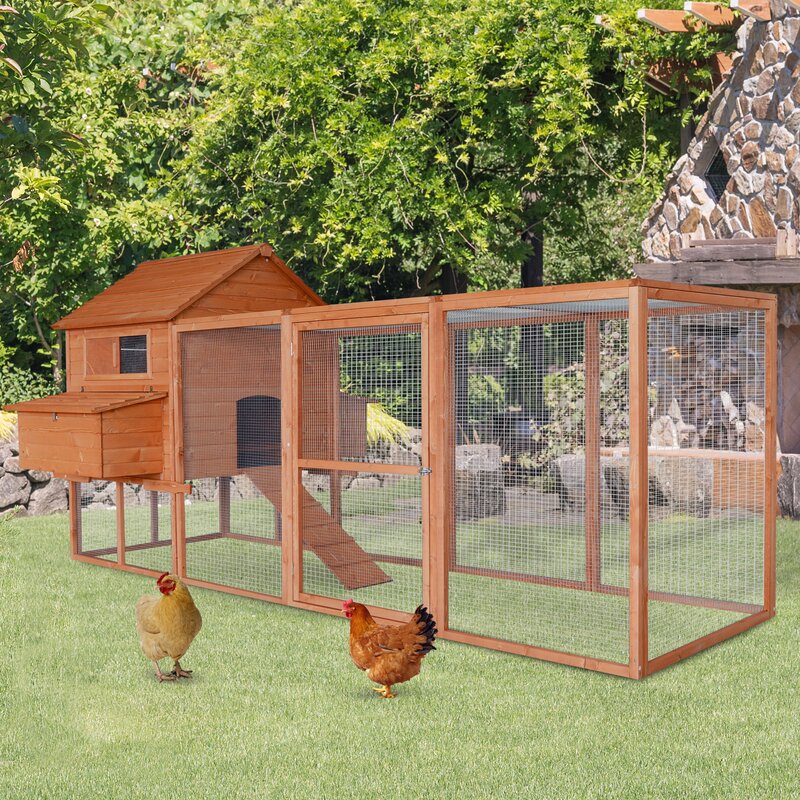 Large Backyard Chicken House With Chicken Run