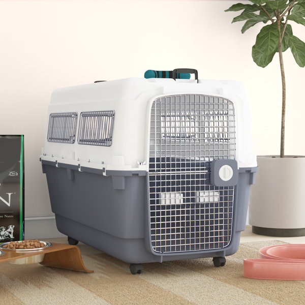 plastic dog kennel xxl