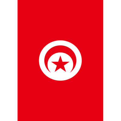 Tunisia Garden flag Toland Home Garden