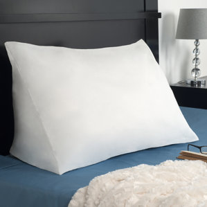 Reading Wedge Down Alternative Pillow by Alwyn Home