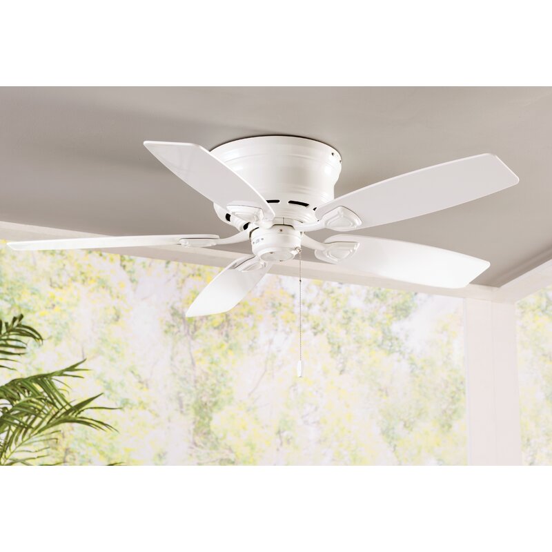 Hunter Fan 48 Sea Wind 5 Blade Ceiling Fan Reviews Wayfair