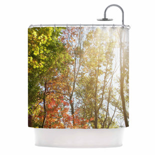 Sale Autumn Trees I Shower Curtain By East Urban Home
