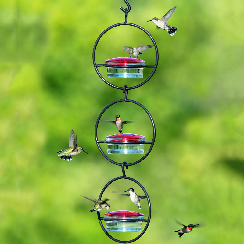 Couronne Mosaic Hummingbird Feeder Reviews Wayfair